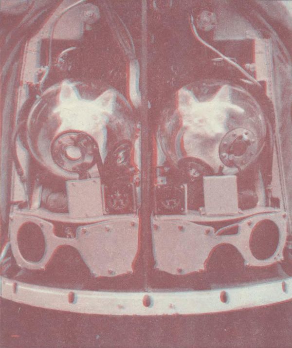 Девять цветов радуги - i_168.jpg