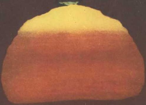 Девять цветов радуги - i_176.jpg