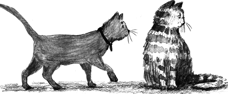 Алфи. Вдали от дома - i_003.png