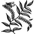 Пчелы и медицина - _05.jpg