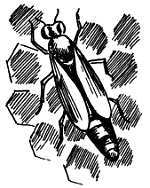 Пчелы и медицина - _07.jpg