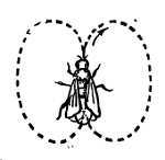 Пчелы и медицина - _09.jpg