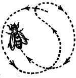 Пчелы и медицина - _10.jpg