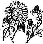 Пчелы и медицина - _14.jpg