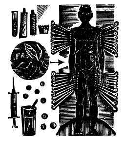 Пчелы и медицина - _20.jpg