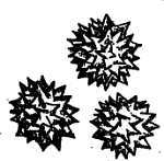 Пчелы и медицина - _29.jpg