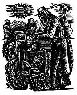 Пчелы и медицина - _34.jpg