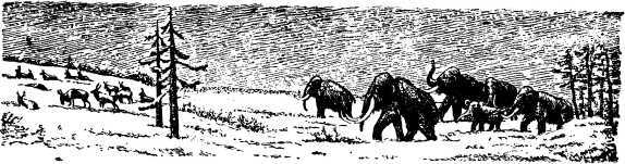 Рождение миров - i_094.jpg