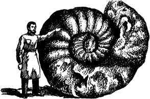 Рождение миров - i_129.jpg