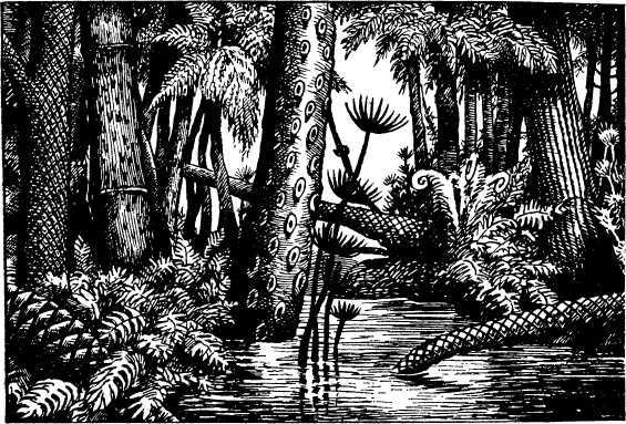 Рождение миров - i_130.jpg