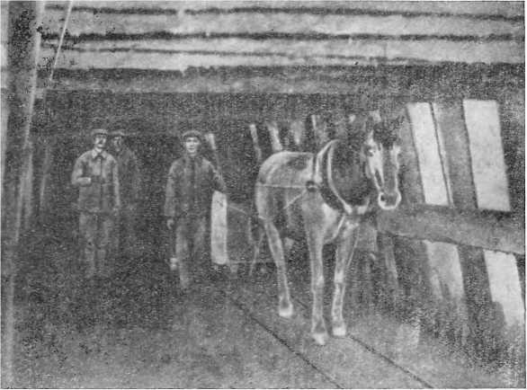 В долинах золотого песка - i_020.jpg