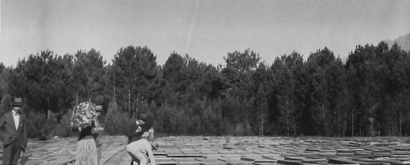 Большое путешествие - i_037.jpg