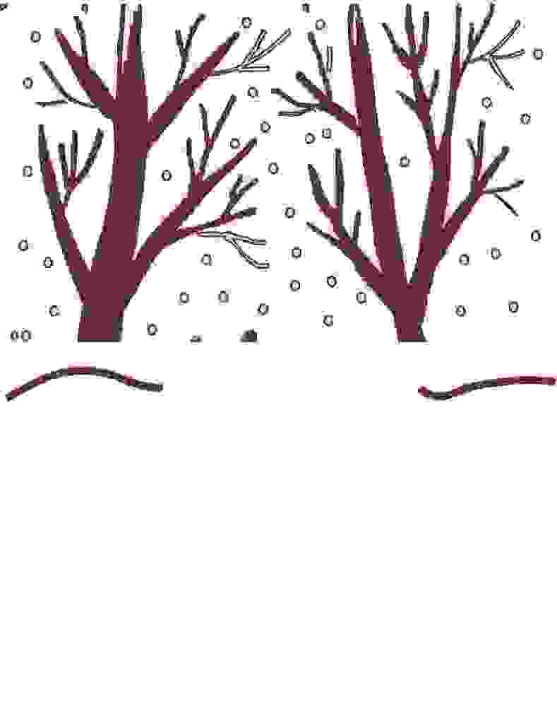 Ослик Лайли (СИ) - i_099.jpg