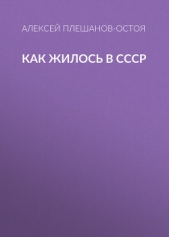 Как жилось в СССР - автор Плешанов-Остоя Алексей 