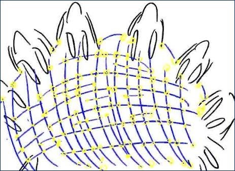 Мивары: 25 лет создания искусственного интеллекта - i000002020000.jpg