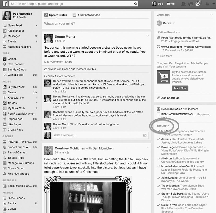 Искусство плести социальные сети - i_014.jpg