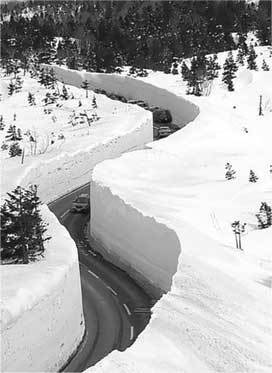 Дороги мира. История и современность - i_020.jpg