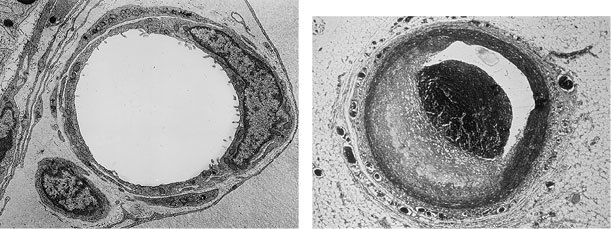Психология стресса - _8.jpg