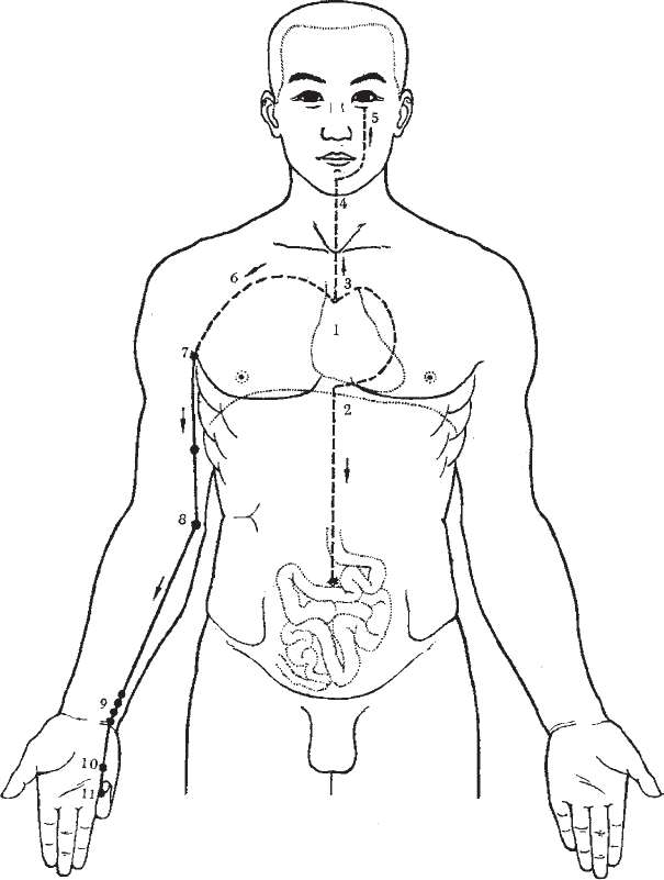 Ба-Дуань-Цзинь. «Восемь кусков парчи» в свете китайской традиции и внутреннего содержания Чань-Ми-Гун Цигун - _47.png