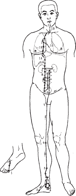 Ба-Дуань-Цзинь. «Восемь кусков парчи» в свете китайской традиции и внутреннего содержания Чань-Ми-Гун Цигун - _54.png