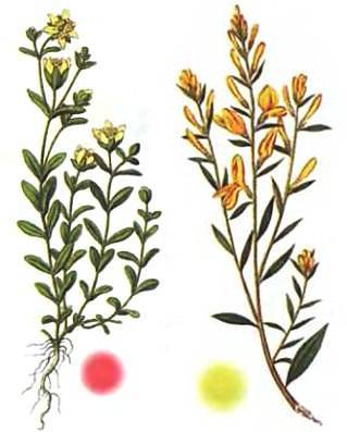 Юный техник, 2013 № 05 - _50.jpg