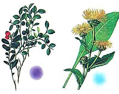 Юный техник, 2013 № 05 - _52.jpg_0