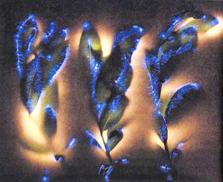 Юный техник, 2012 № 08 - _21.jpg