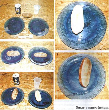 Юный техник, 2012 № 11 - _49.jpg