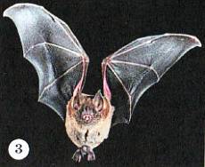 Юный техник, 2013 № 01 - _26.jpg