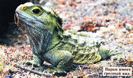 Юный техник, 2013 № 01 - _27.jpg