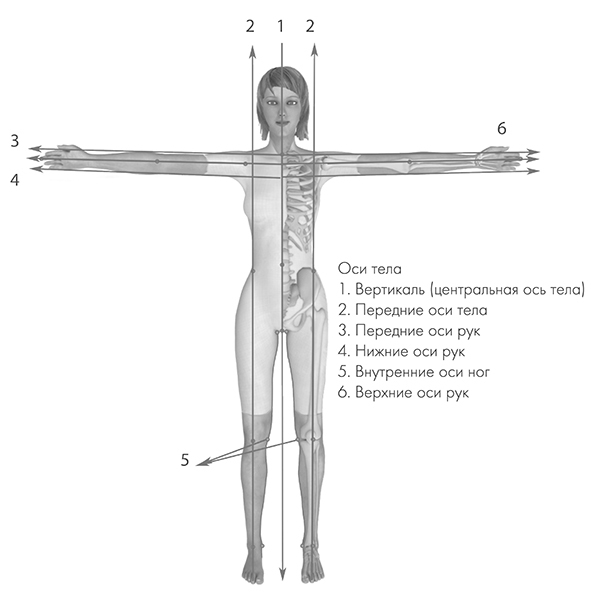 Сакральная архитектура тела. Экспресс-методика трансформации тела и внутреннего состояния - i_015.jpg