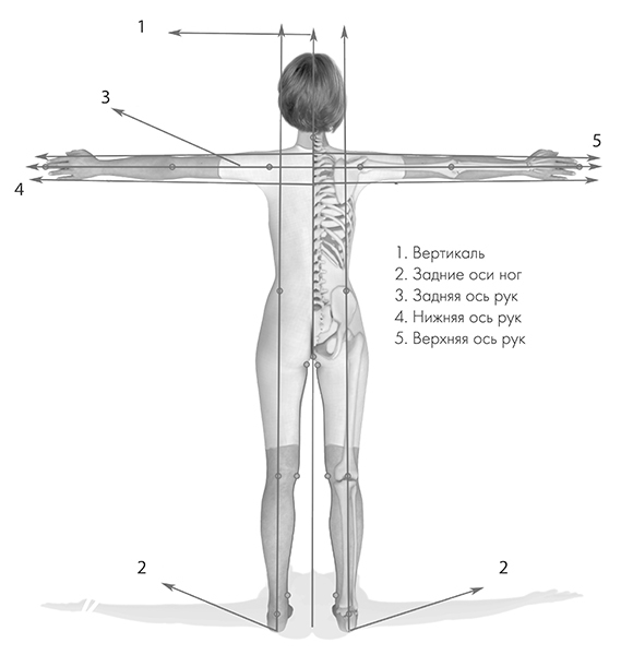 Сакральная архитектура тела. Экспресс-методика трансформации тела и внутреннего состояния - i_017.jpg