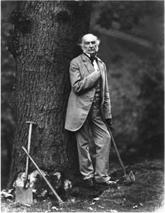 Власть и общество: избирательные реформы и их восприятие в Великобритании в последней трети XIX века - i_006.jpg