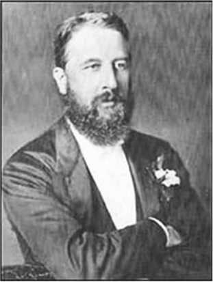 Власть и общество: избирательные реформы и их восприятие в Великобритании в последней трети XIX века - i_007.jpg