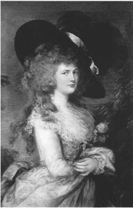 Власть и общество: избирательные реформы и их восприятие в Великобритании в последней трети XIX века - i_009.jpg