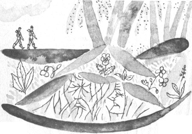 Совсем новые сказки - i_012.jpg