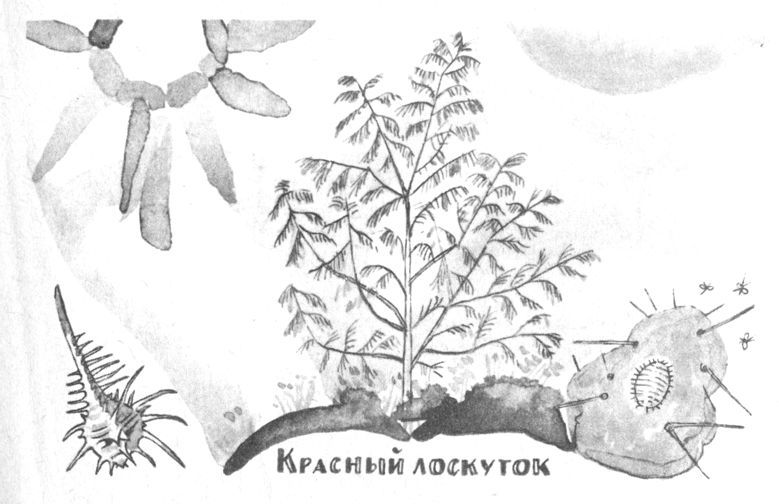 Совсем новые сказки - i_016.jpg