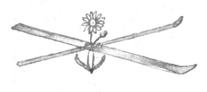 Совсем новые сказки - i_033.jpg