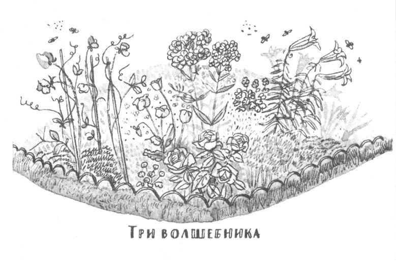 Совсем новые сказки - i_056.jpg