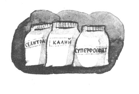 Совсем новые сказки - i_057.jpg