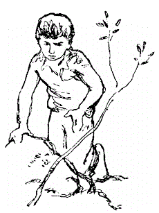 Неделя приключений - i_034.png