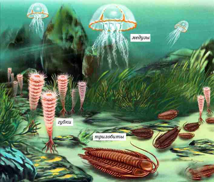 Динозавры - i_003.jpg