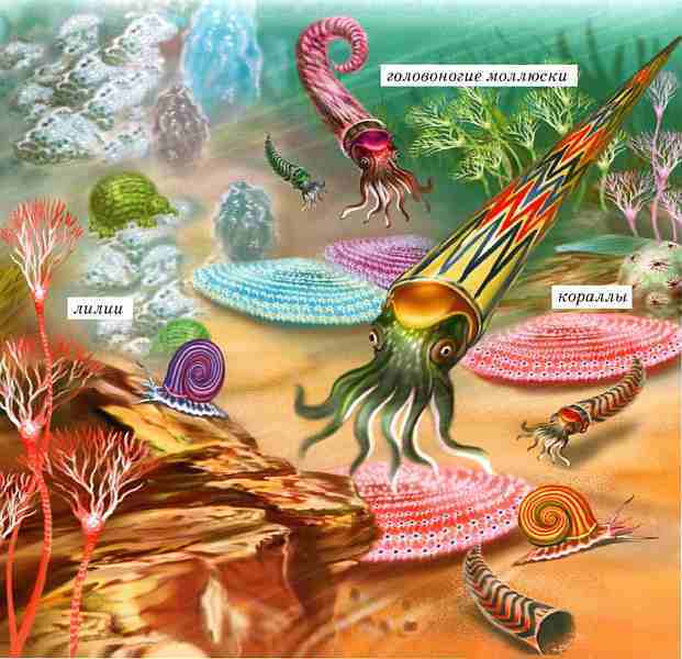 Динозавры - i_004.jpg