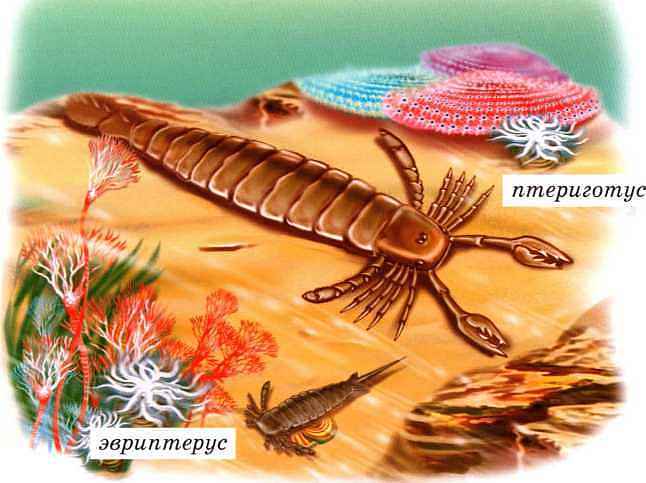 Динозавры - i_005.jpg