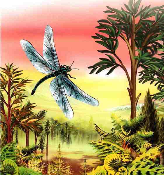 Динозавры - i_007.jpg