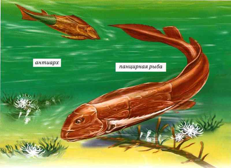 Динозавры - i_008.jpg