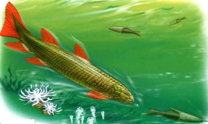 Динозавры - i_009.jpg