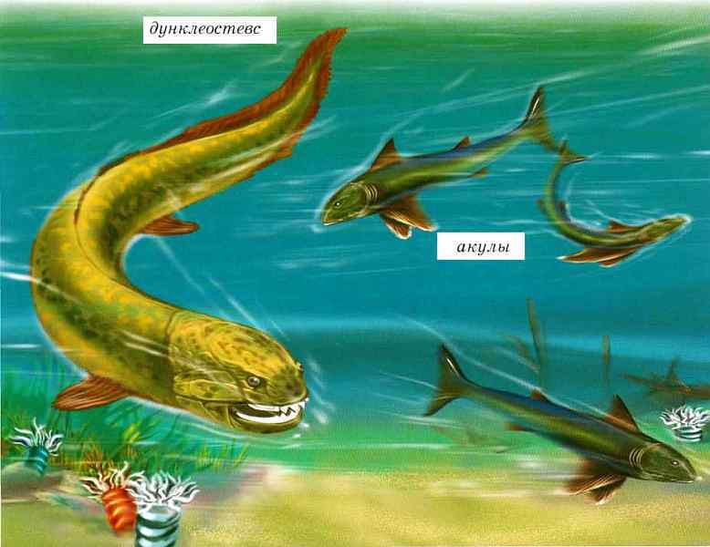 Динозавры - i_010.jpg