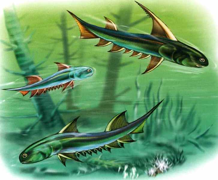 Динозавры - i_011.jpg