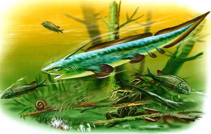 Динозавры - i_013.jpg